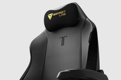 Secretlab TITAN Evo - Special / Premium / Legacy